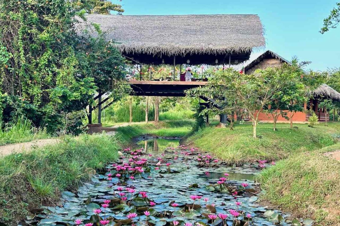 Whispering Yoga Hut at Aliya Resort and Spa in Sigiriya, Sri Lanka